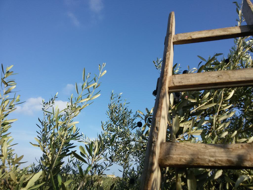 Cambiocavallo Resort Модіка Екстер'єр фото